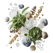 Wood Sage & Sea Salt