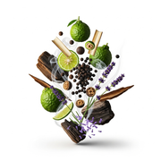 Sauvage