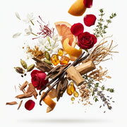 Oud Republic