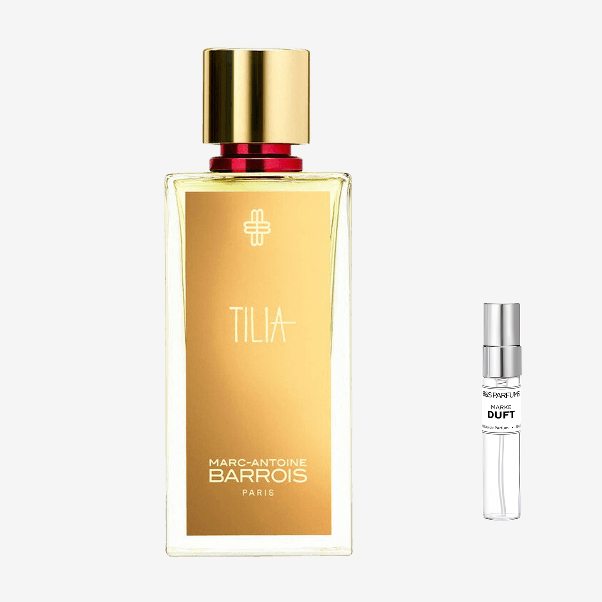 Tilia